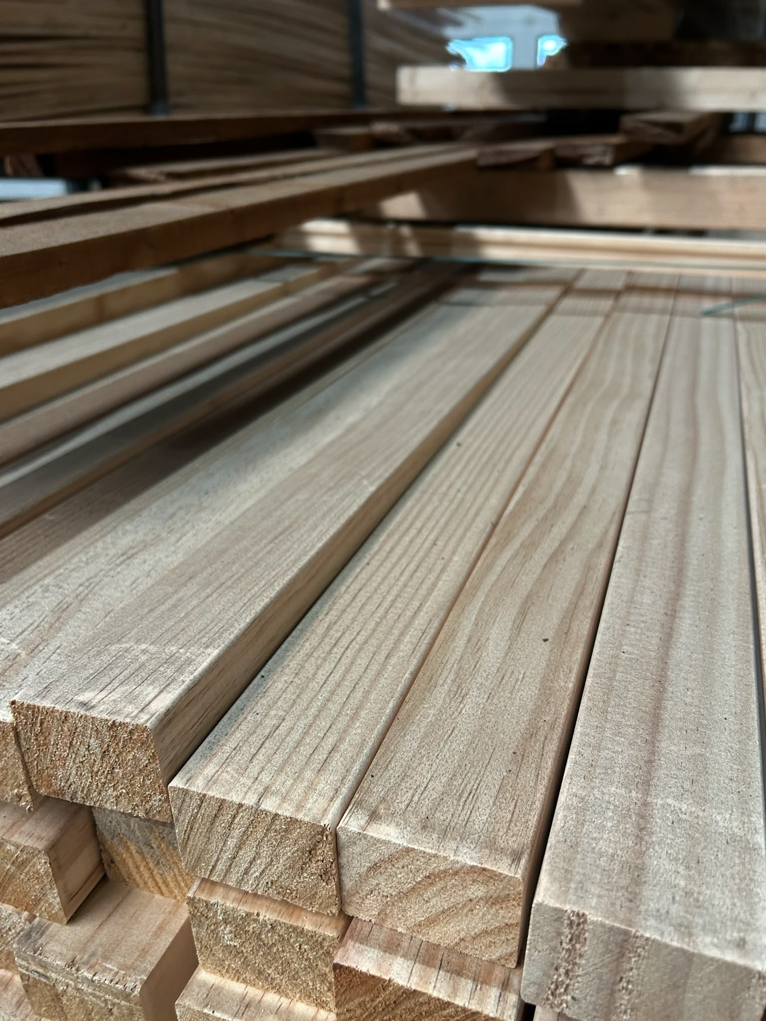 Radiata Pine 40x58.