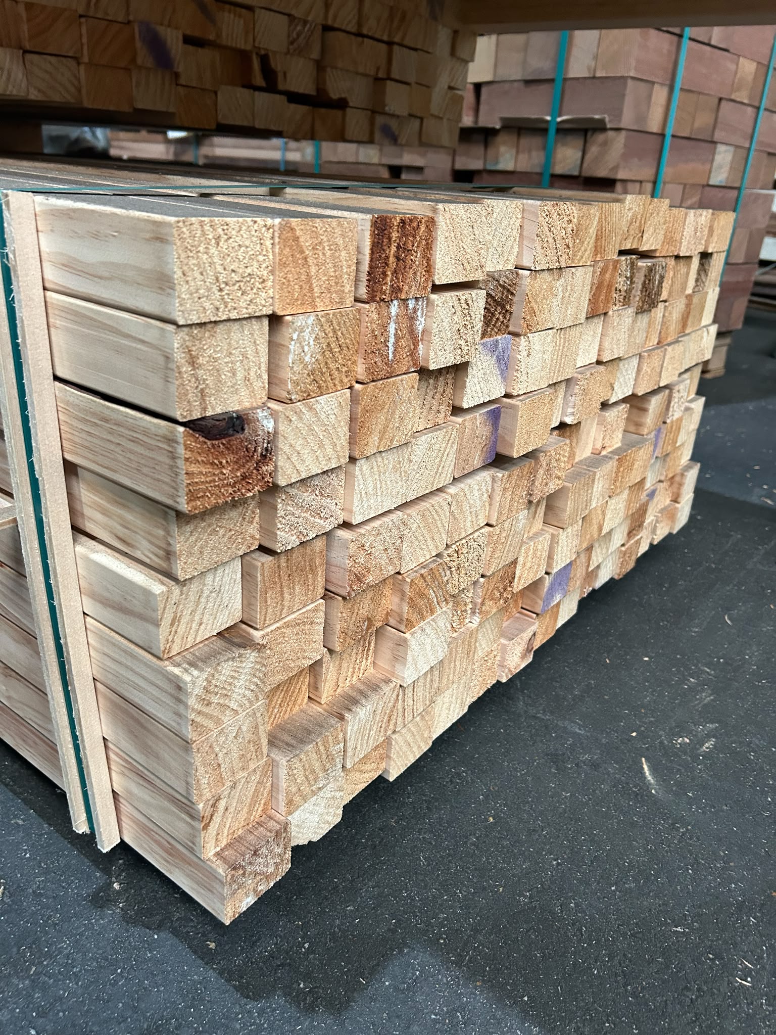 Radiata Pine 40x58.
