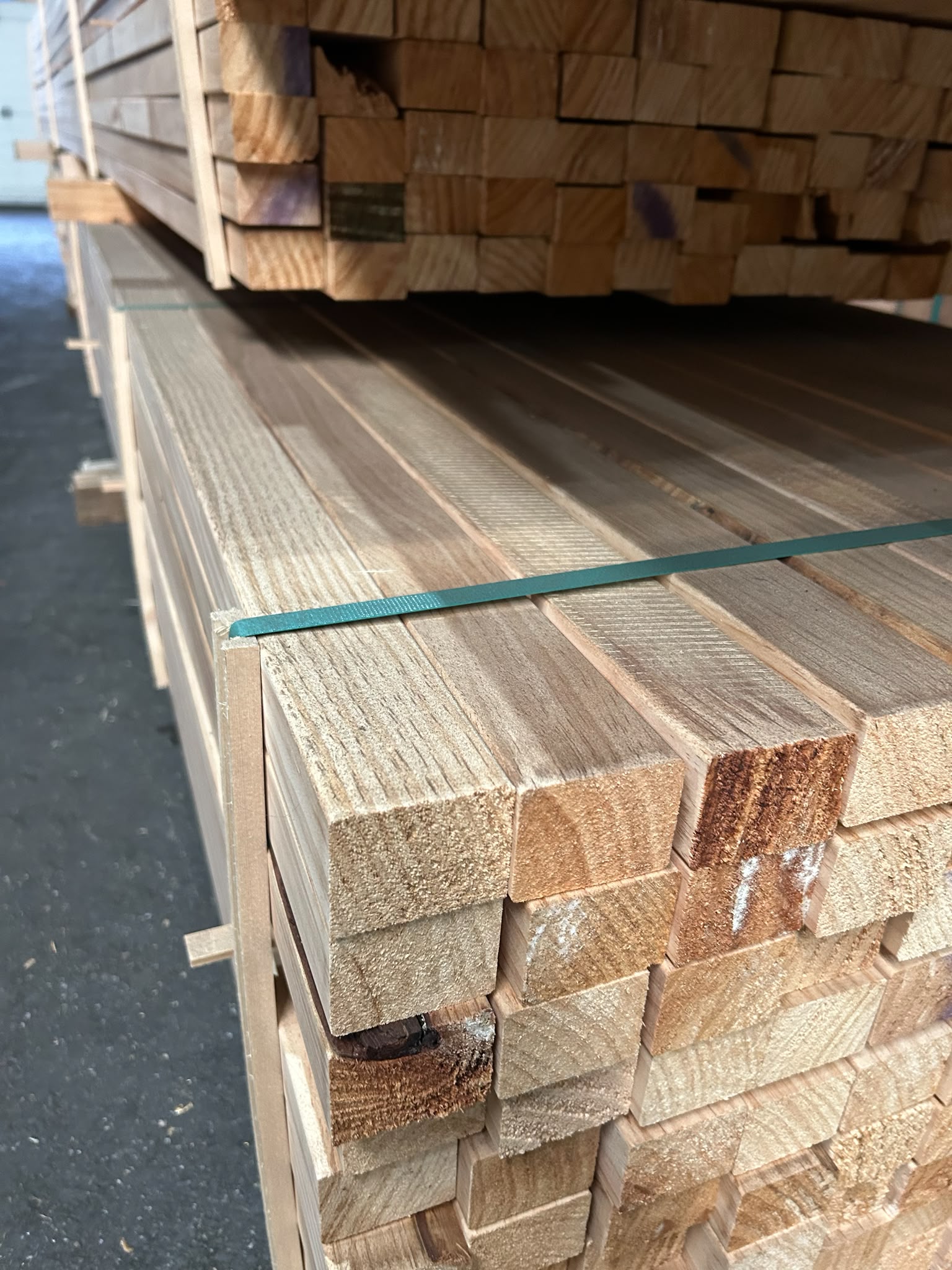 Radiata Pine 40x58.
